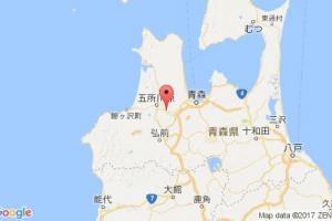 田子浦港口查询_tagonoura港口代码_日本田子浦港口代码