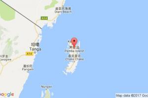 奔巴岛港口查询_pemba island港口代码_坦桑尼亚奔巴岛港口代码